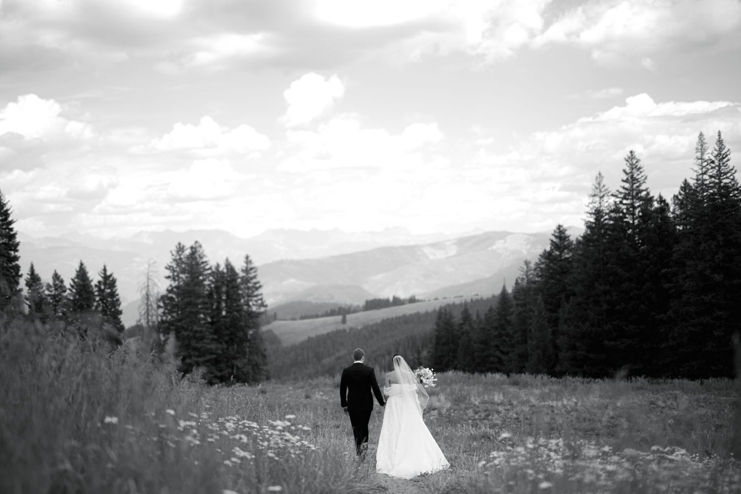 A scenic mountain wedding ceremony with evergreen trees and blue skies.