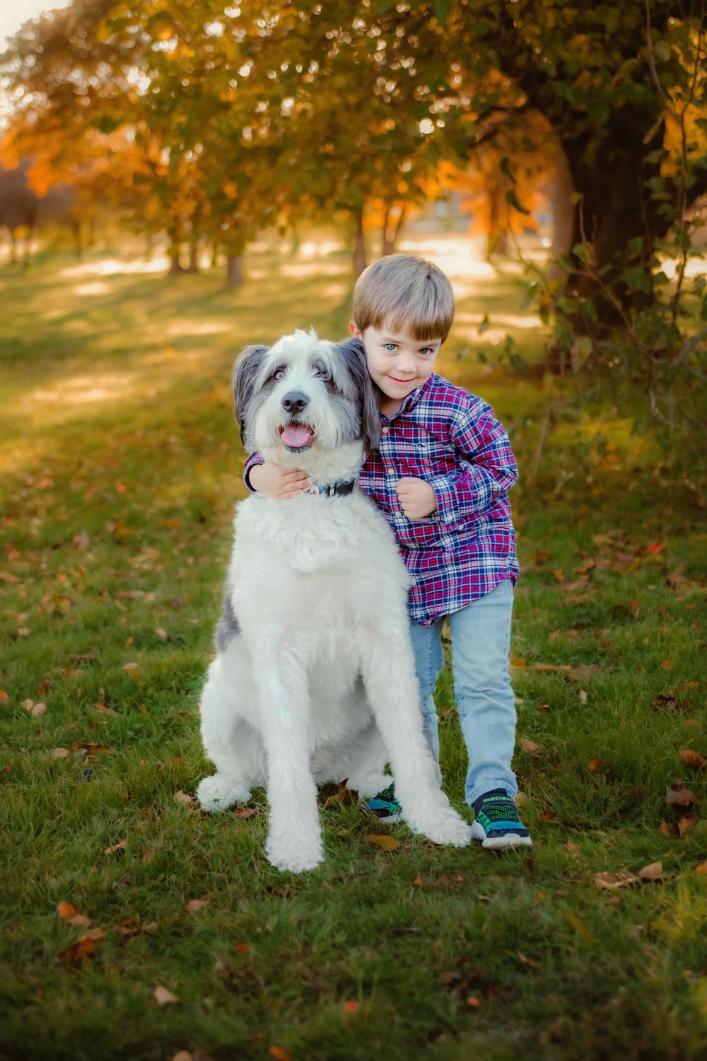 A young boy in a plaid shirt hugs a large fluffy gray and white dog in a sunny autumn park.