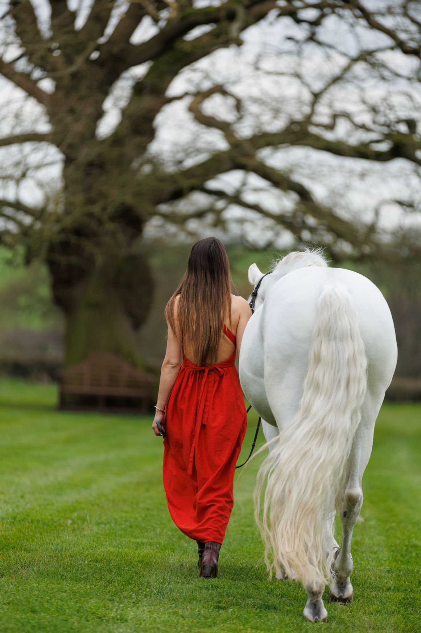 Couple standing with a Gypsy Vanner horse and two golden retrievers on a scenic farm path with spring blossoms.