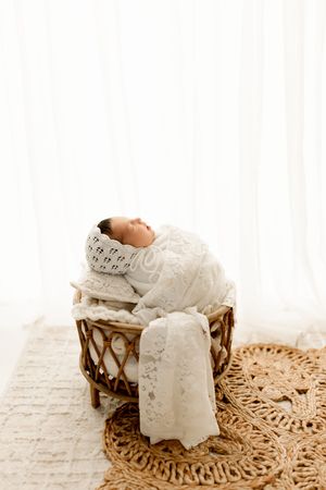 Baby in bucket during newborn photoshoot wearing neutrals in Marion Indiana with Tiffany Bergamino photography