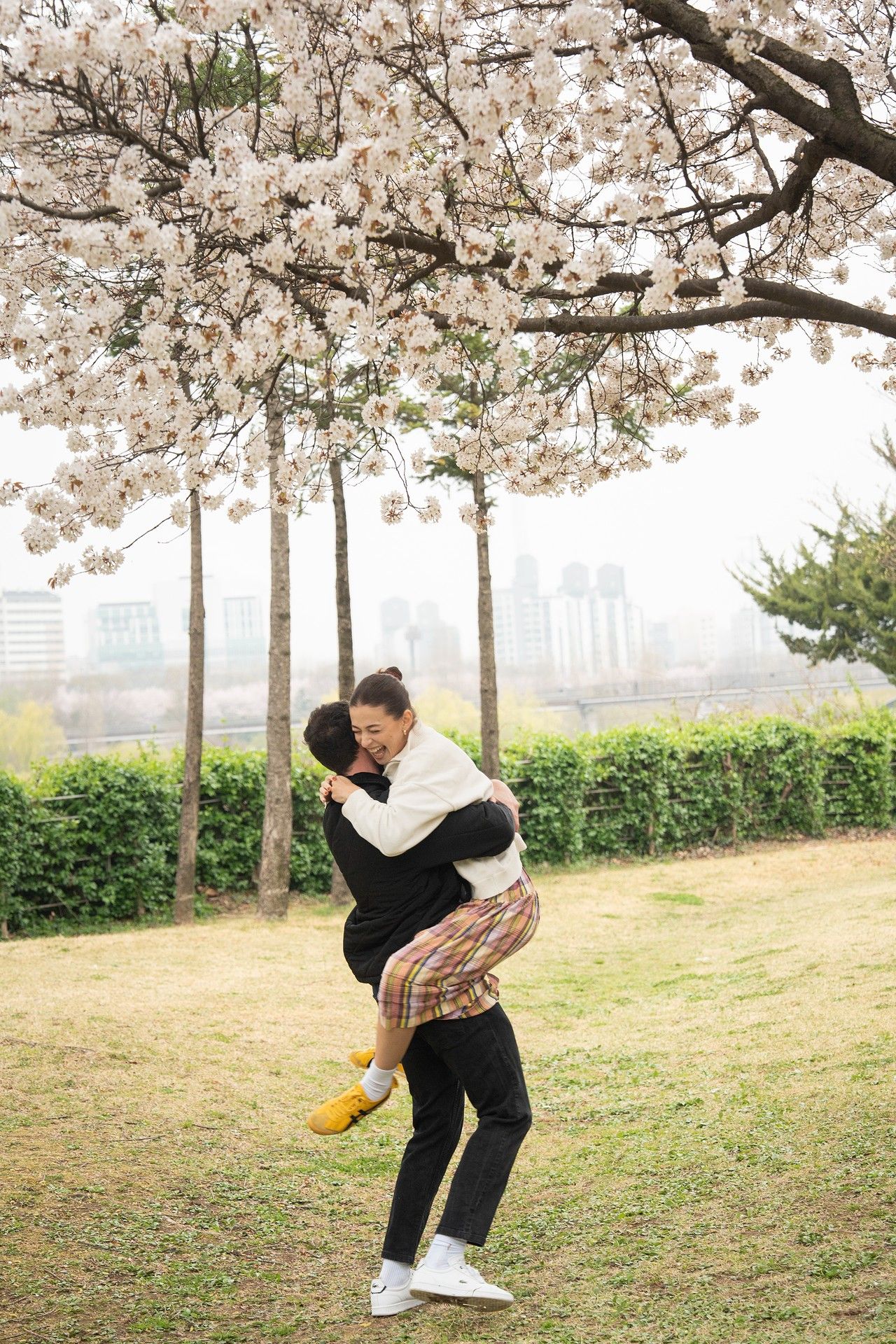 Couple embracing under blooming cherry blossom trees in a park during spring, with city skyline in background.