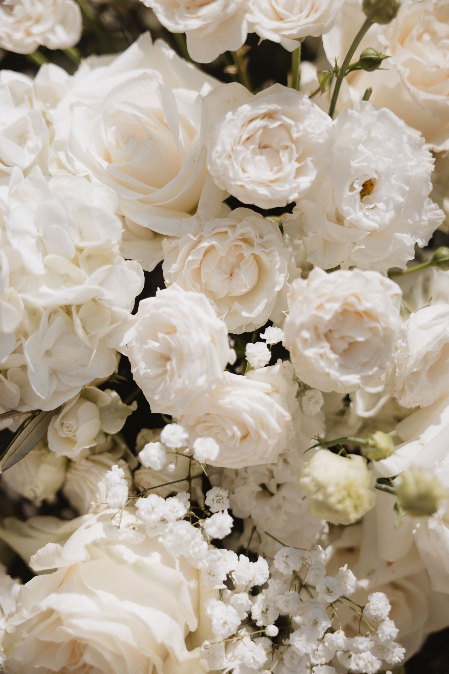 white wedding flowers