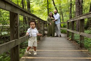 A wooden boardwalk path winds through lush green forest with people walking along it on a sunny day.