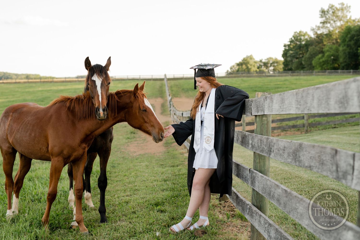 Two brown horses interact with graduate in cap and gown by wooden fence in pastoral setting.