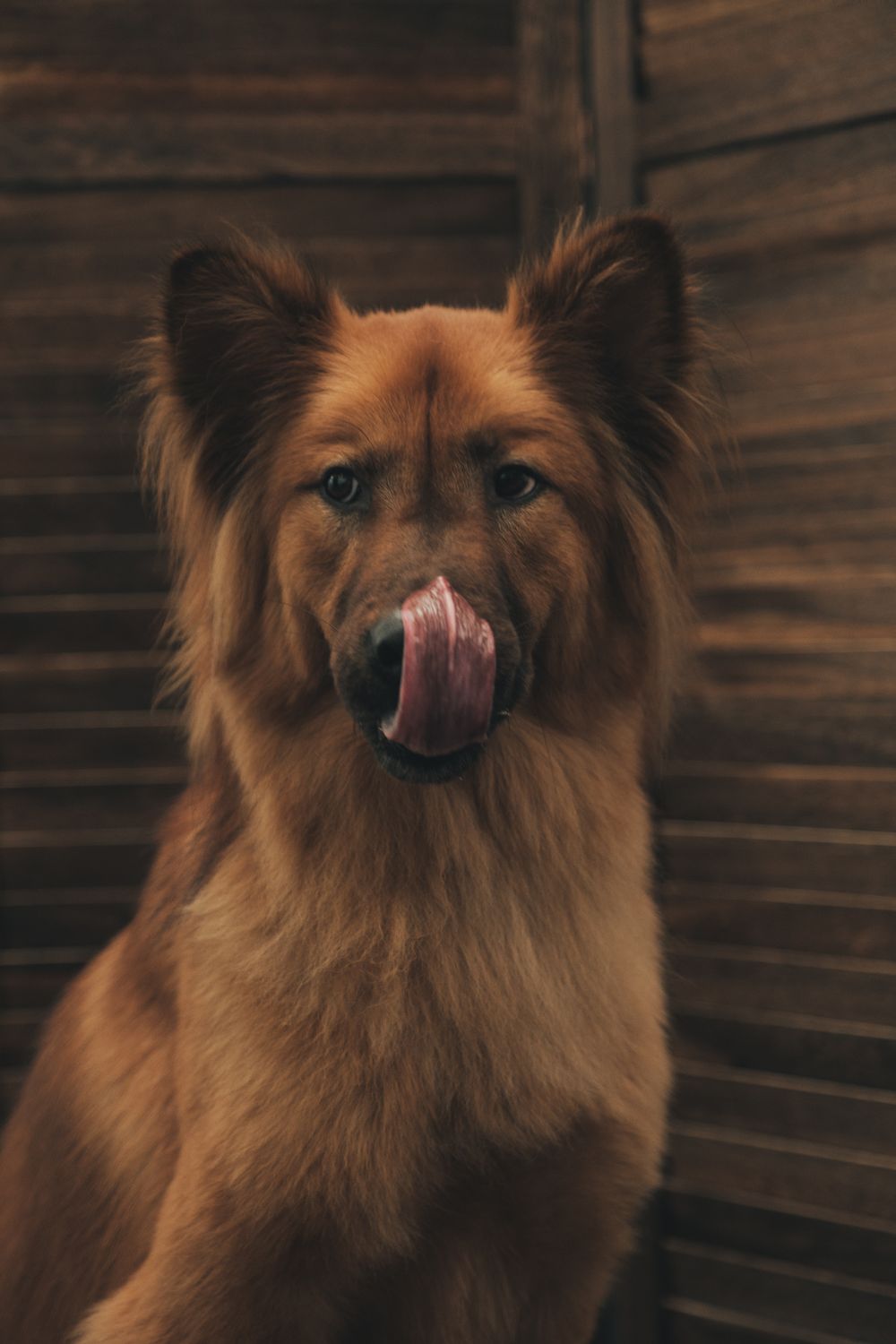 獨寵套餐