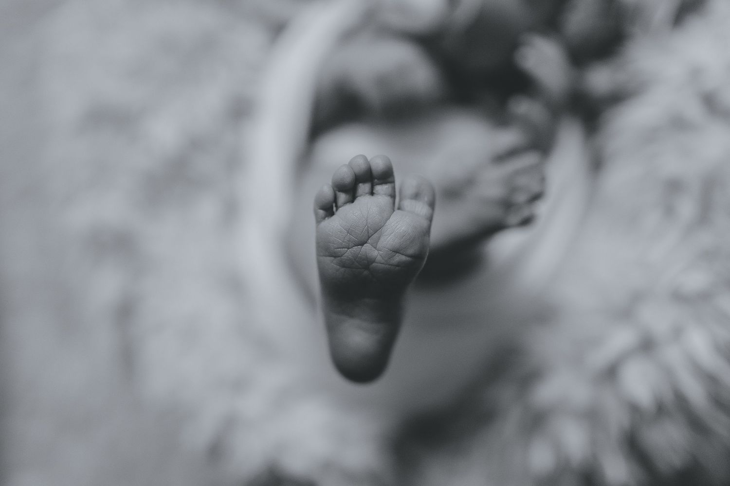 Close-up detail of tiny newborn feet against white textured background. Photographer. Hull. East Yorkshire. Photography