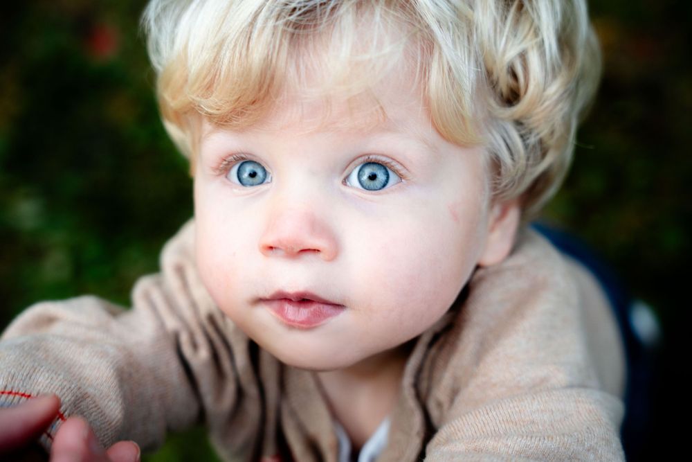 Seattle Family Photography, Photographer, Cristina Winter Photography