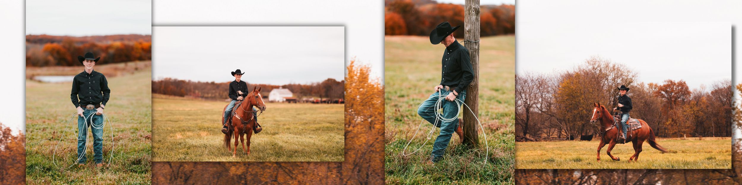 A series of outdoor lifestyle images showing horses and riders in autumn fields during golden hour lighting.