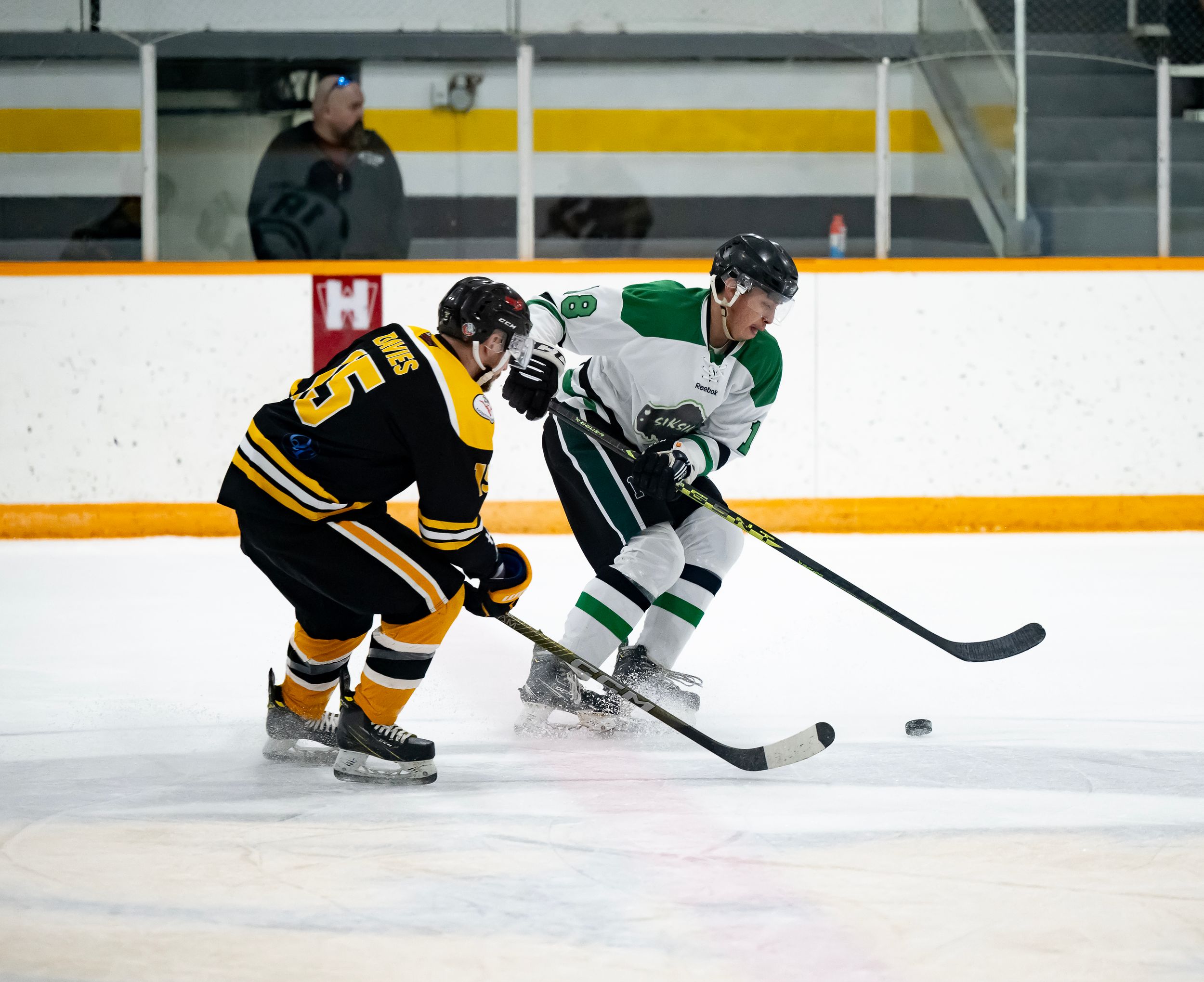 Two hockey players compete for control of the puck during an intense ice hockey match.