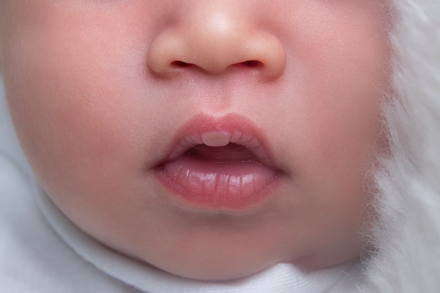 perfect baby lips capturing all the tiny features in your newborn session