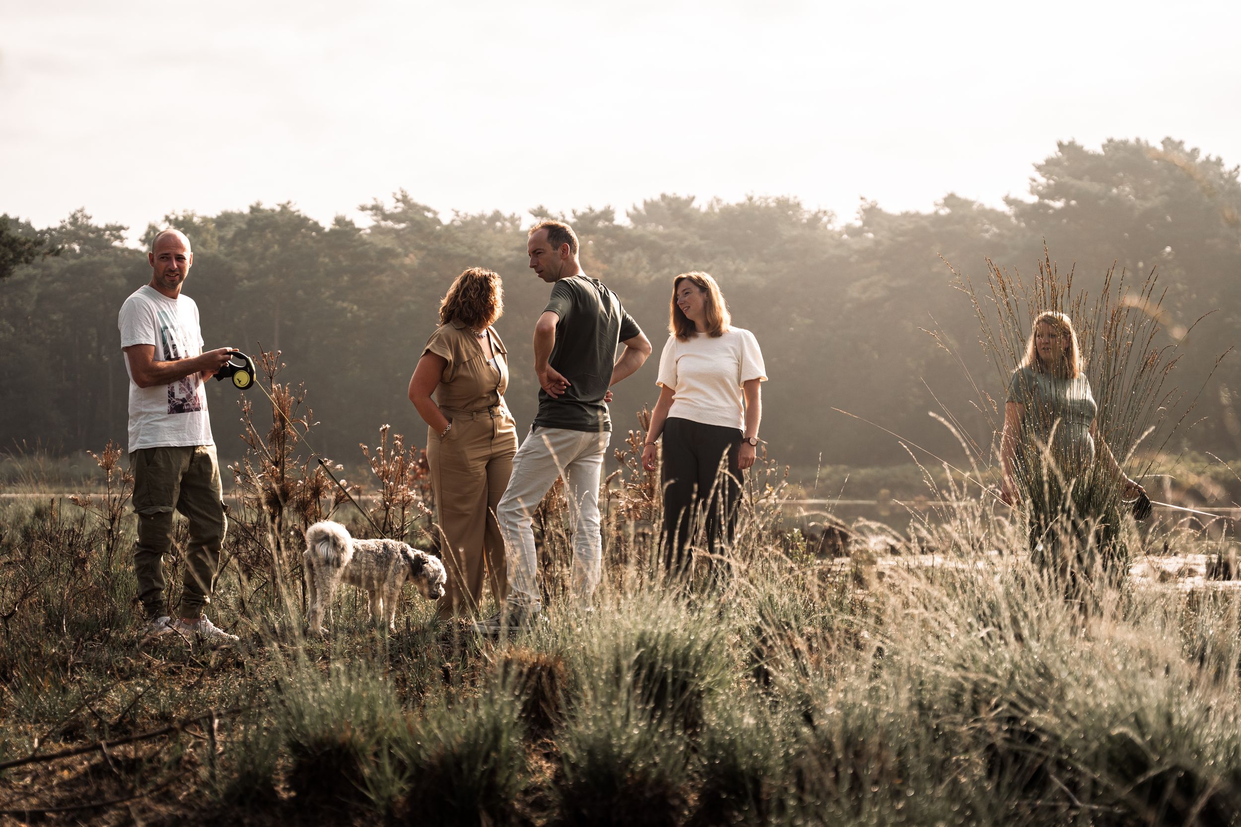 Group of people and dogs enjoying a golden sunset on a grassy hilltop during a warm summer evening.