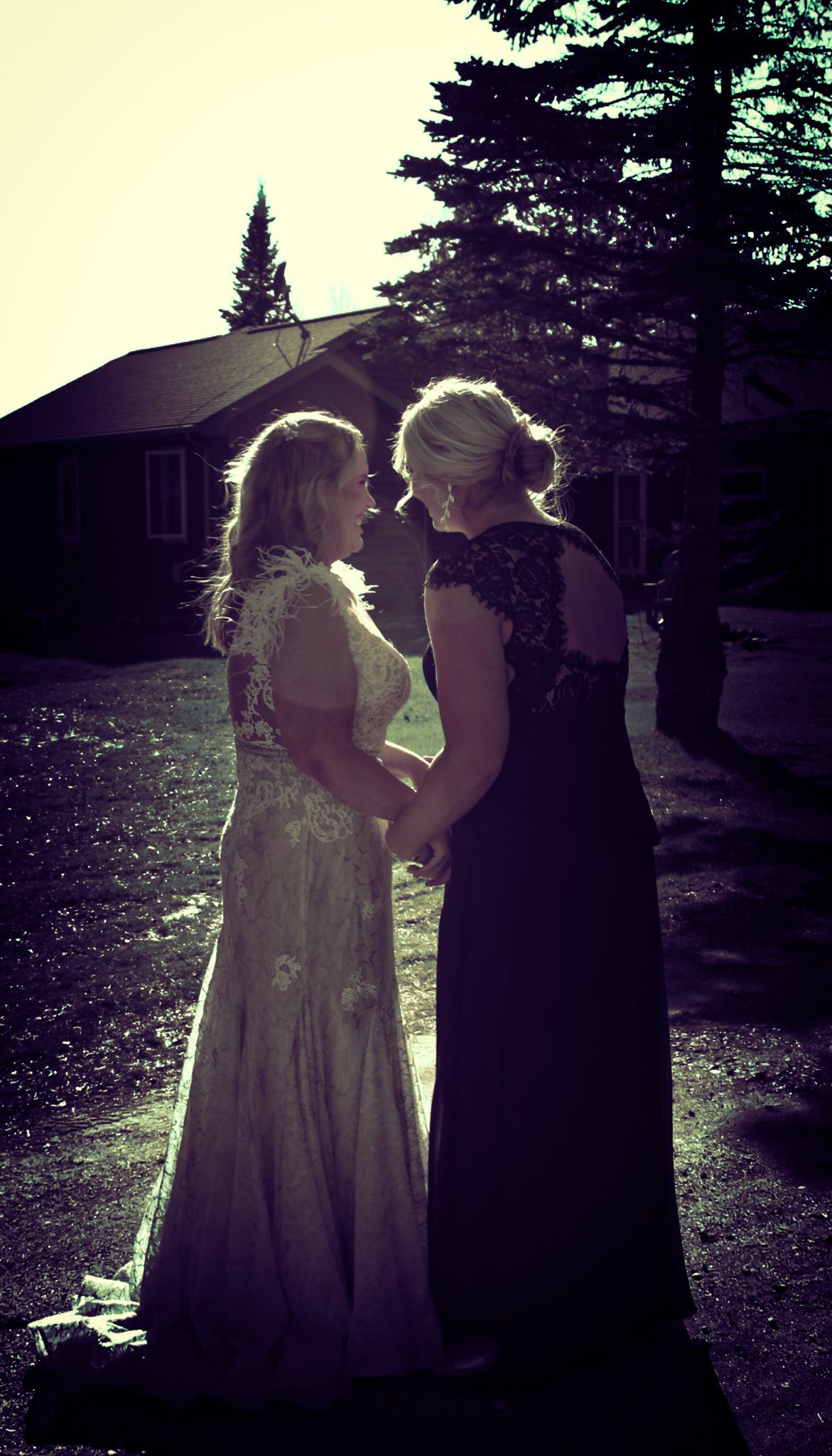 Two silhouettes embrace in a romantic backlit outdoor wedding scene with evergreen trees in the background.