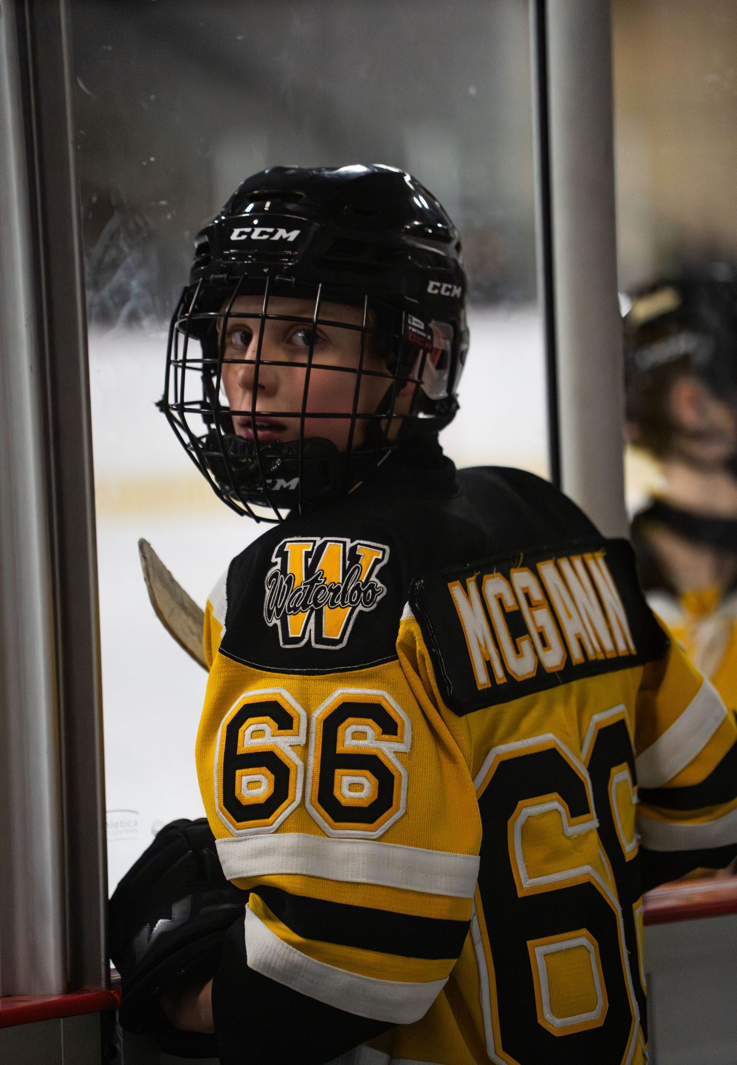 Hockey players in black and yellow jerseys line up against the glass during a game.