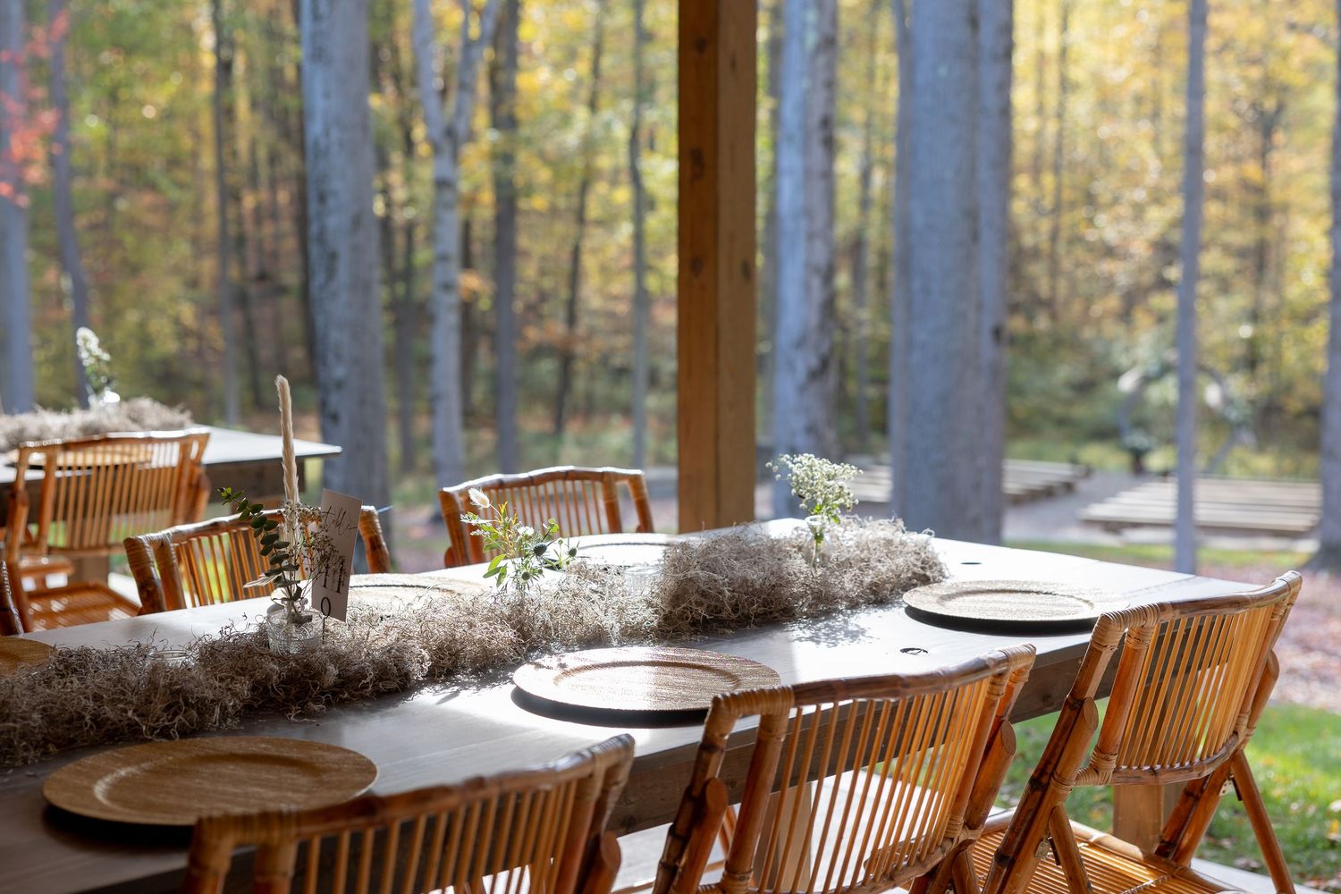 Rustic wooden dining chairs line a long table next to large windows overlooking an autumn forest landscape.