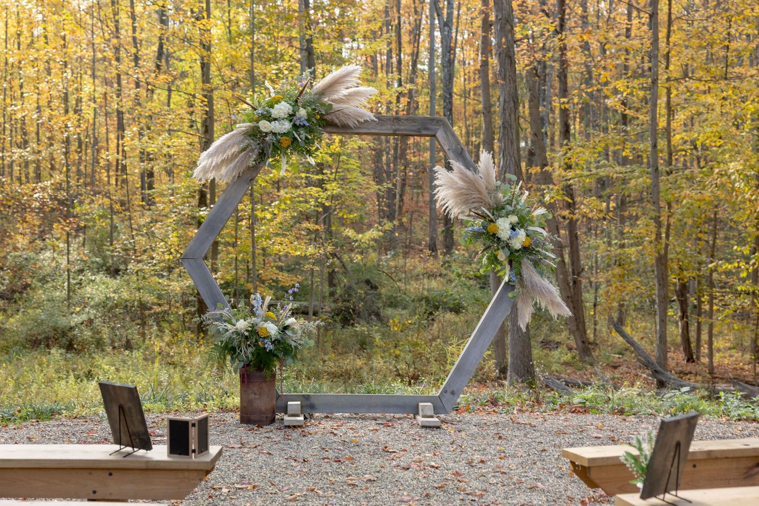 Wooden bench swing overlooking a serene autumn forest with golden yellow leaves and tall trees.