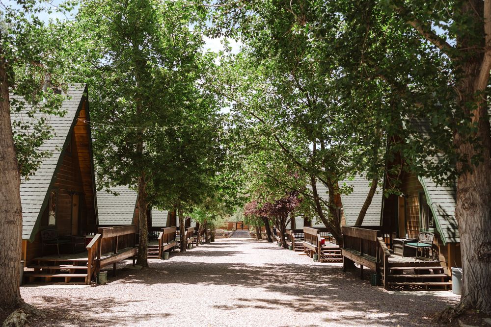 Looking down the gravel road of a-frames at Cabins on Strawberry Hill, surrounded by full, green trees