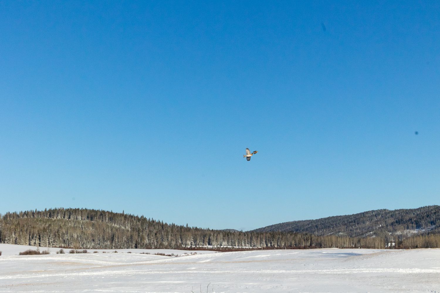 Drone flying over a frozen snow-covered field with forested hills under a clear blue sky.