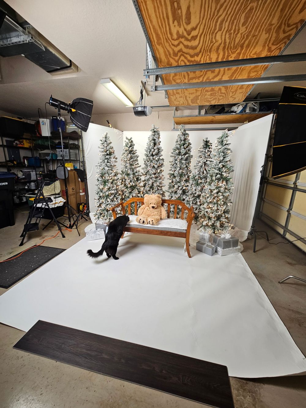 A black cat sits near a Christmas photo setup with snowy artificial trees and a wooden bench in a photography studio.