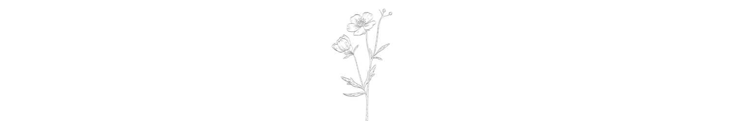 A minimalist line drawing shows a simple sketch of a hand with delicate lines and flowing contours.