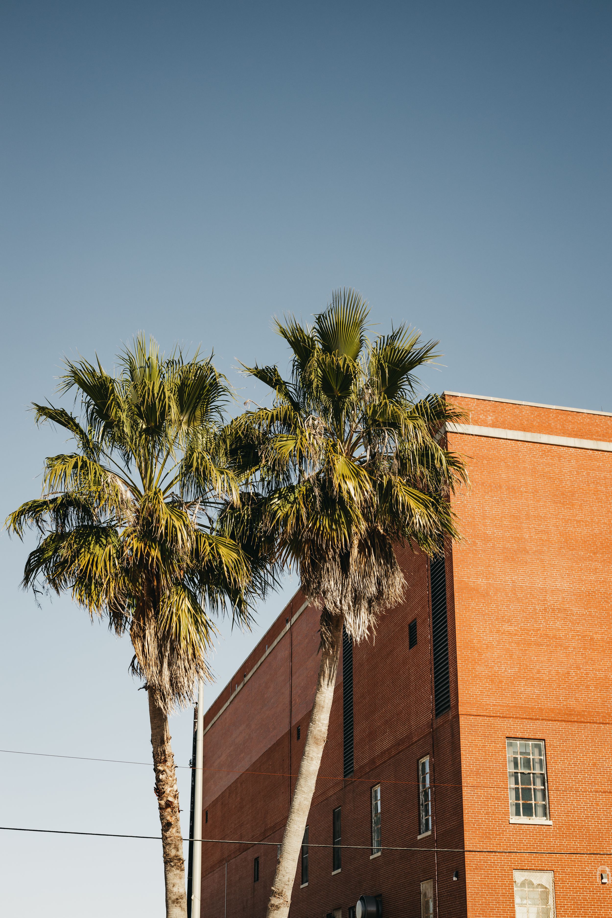 Travel Photographer in Panama City Florida. Nature photos in the Florida Panhandle: Beaches, Bayou, Natural Springs, Skies, Plants, and more