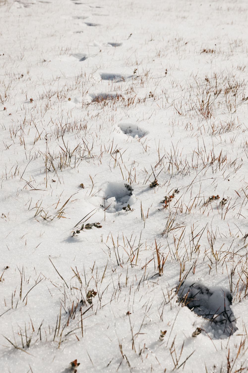 Travel Photographer in Panama City Florida. Nature photos in the Florida Panhandle: Beaches, Bayou, Natural Springs, Skies, Plants, and more