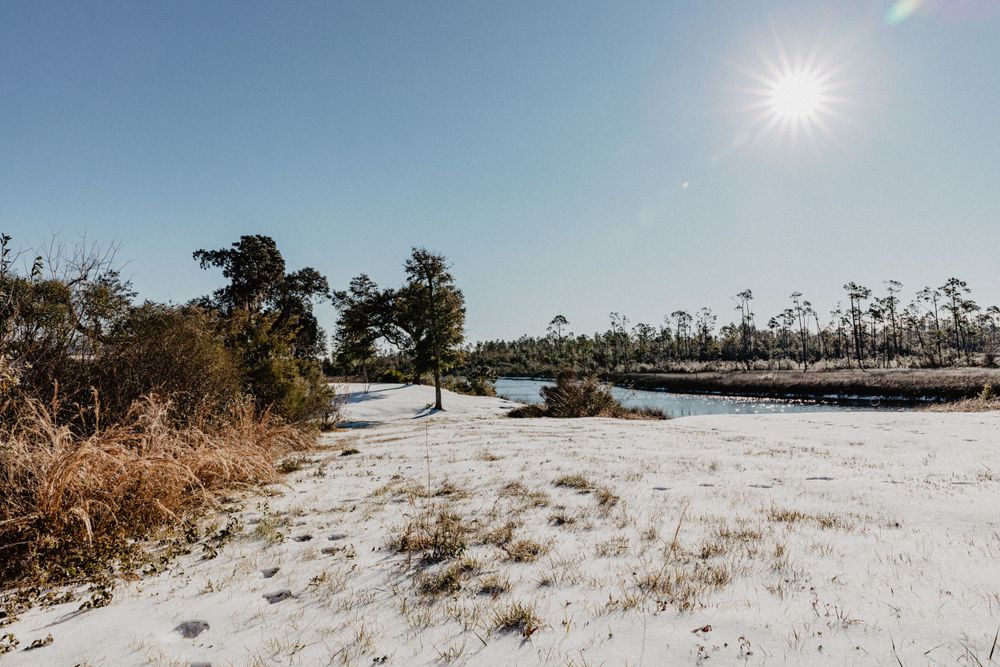 Travel Photographer in Panama City Florida. Nature photos in the Florida Panhandle: Beaches, Bayou, Natural Springs, Skies, Plants, and more