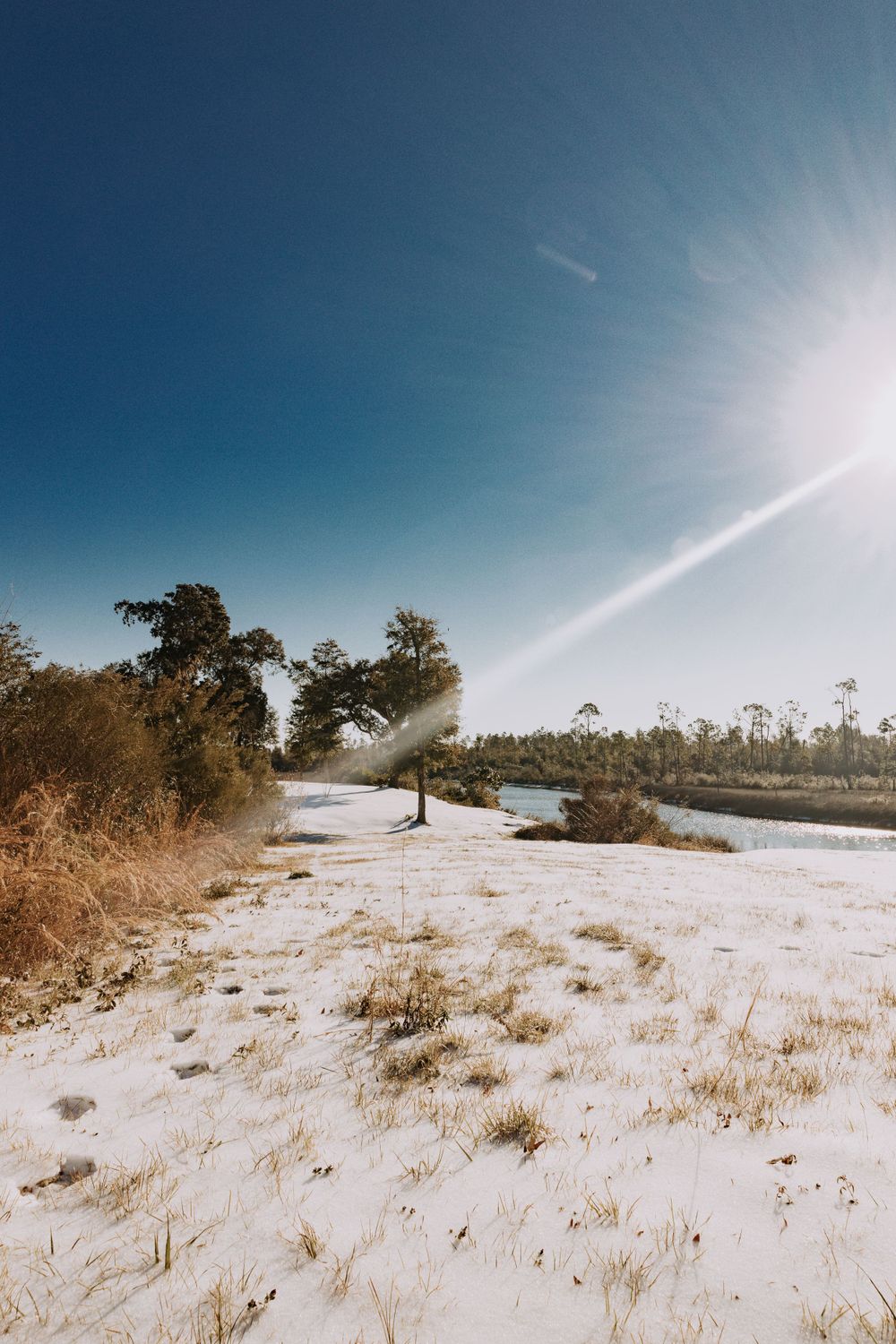 Travel Photographer in Panama City Florida. Nature photos in the Florida Panhandle: Beaches, Bayou, Natural Springs, Skies, Plants, and more