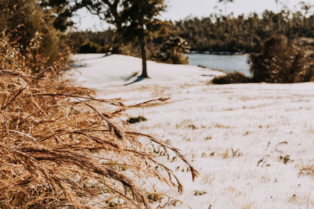 Travel Photographer in Panama City Florida. Nature photos in the Florida Panhandle: Beaches, Bayou, Natural Springs, Skies, Plants, and more