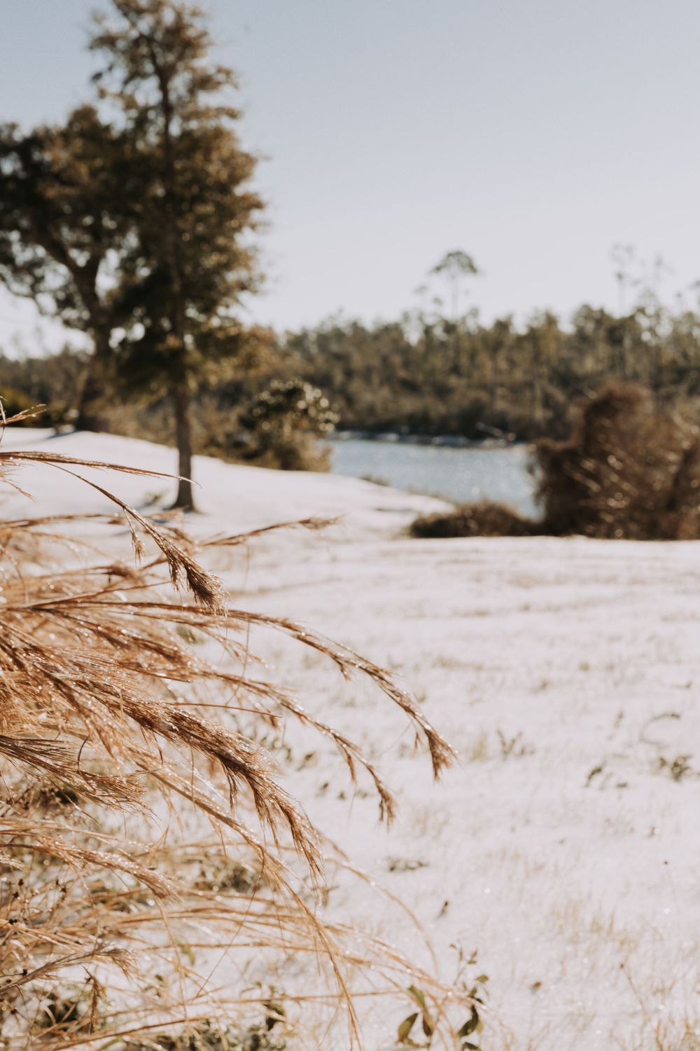 Travel Photographer in Panama City Florida. Nature photos in the Florida Panhandle: Beaches, Bayou, Natural Springs, Skies, Plants, and more