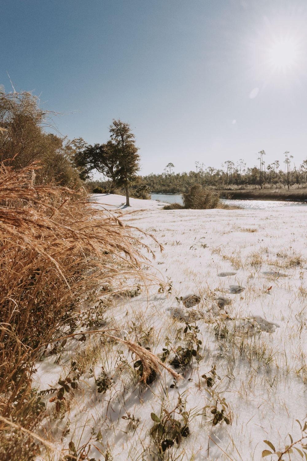 Travel Photographer in Panama City Florida. Nature photos in the Florida Panhandle: Beaches, Bayou, Natural Springs, Skies, Plants, and more