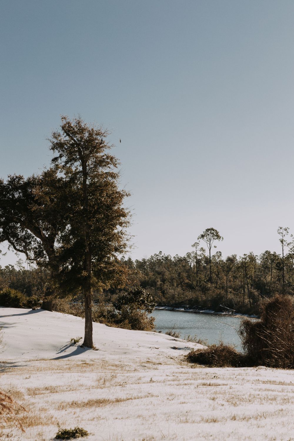 Travel Photographer in Panama City Florida. Nature photos in the Florida Panhandle: Beaches, Bayou, Natural Springs, Skies, Plants, and more