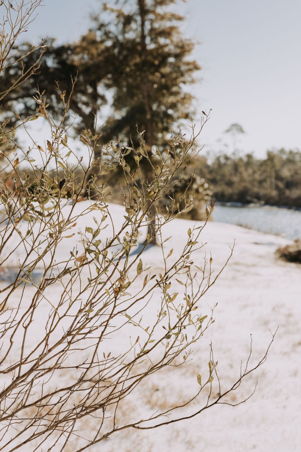 Travel Photographer in Panama City Florida. Nature photos in the Florida Panhandle: Beaches, Bayou, Natural Springs, Skies, Plants, and more