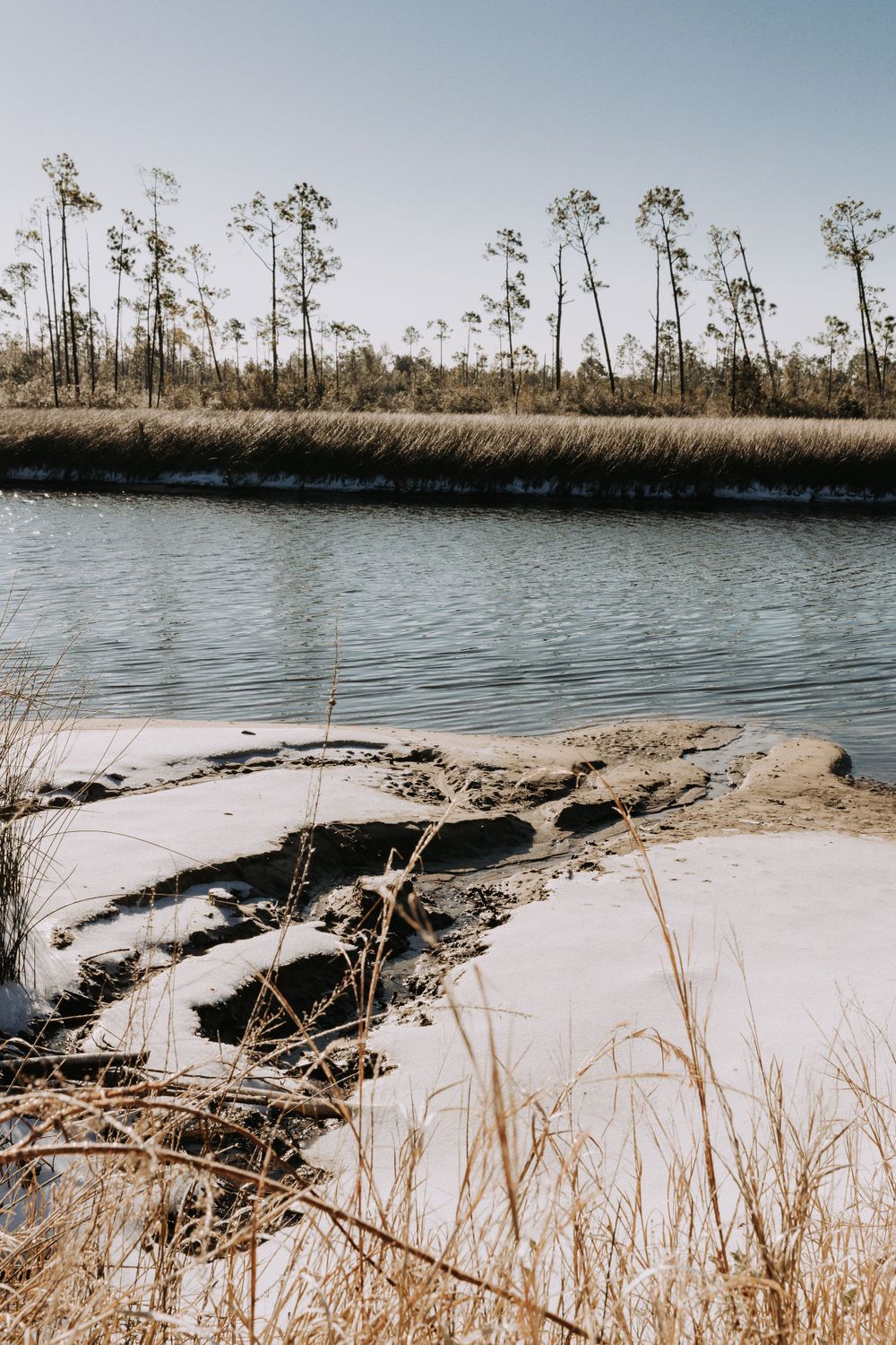 Travel Photographer in Panama City Florida. Nature photos in the Florida Panhandle: Beaches, Bayou, Natural Springs, Skies, Plants, and more