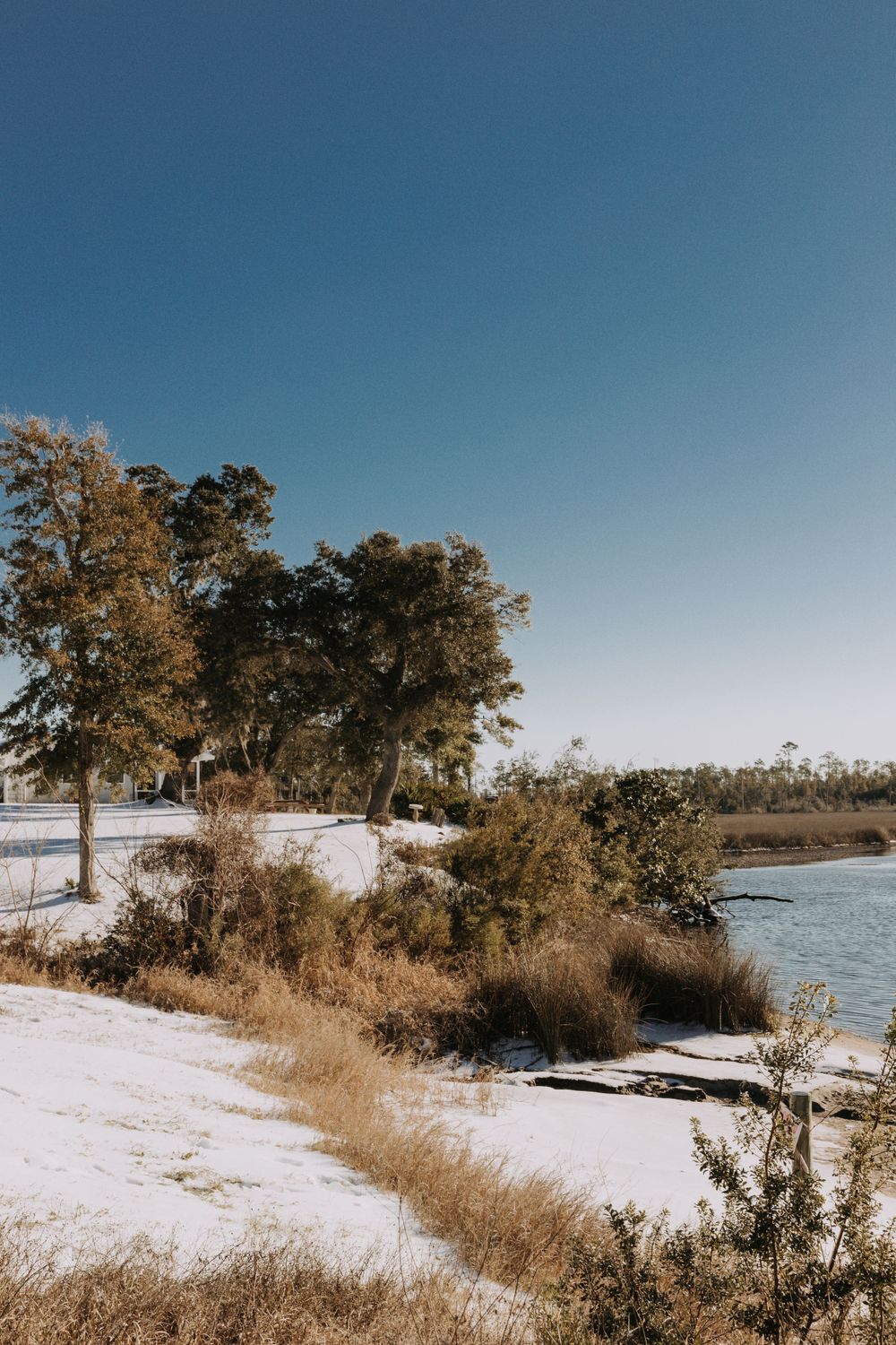Travel Photographer in Panama City Florida. Nature photos in the Florida Panhandle: Beaches, Bayou, Natural Springs, Skies, Plants, and more