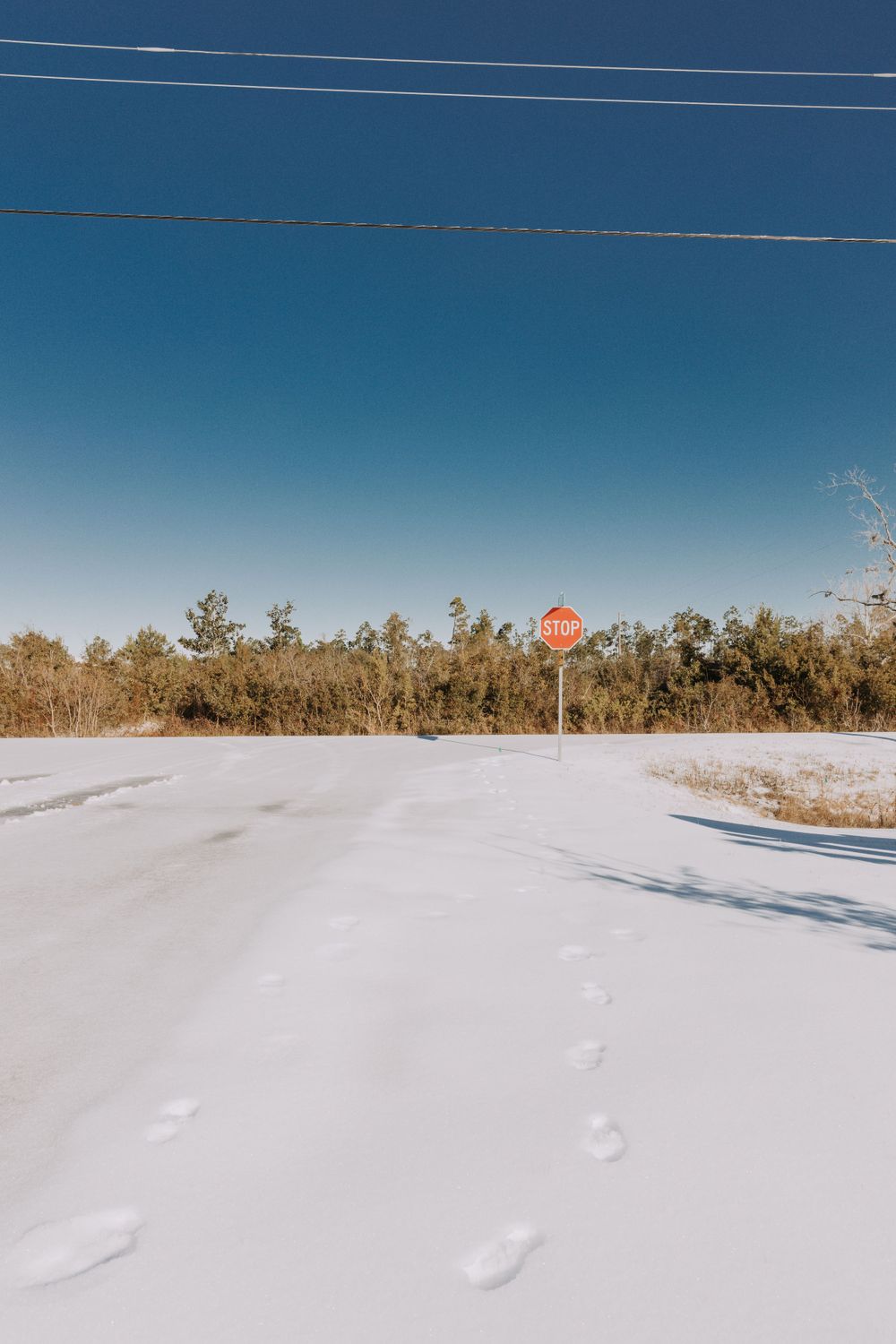 Travel Photographer in Panama City Florida. Nature photos in the Florida Panhandle: Beaches, Bayou, Natural Springs, Skies, Plants, and more