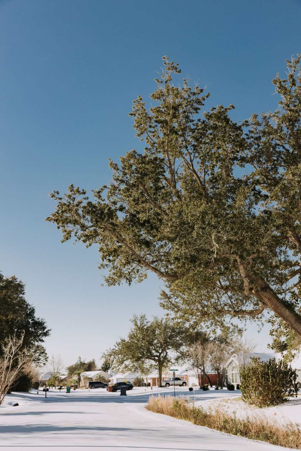 Travel Photographer in Panama City Florida. Nature photos in the Florida Panhandle: Beaches, Bayou, Natural Springs, Skies, Plants, and more