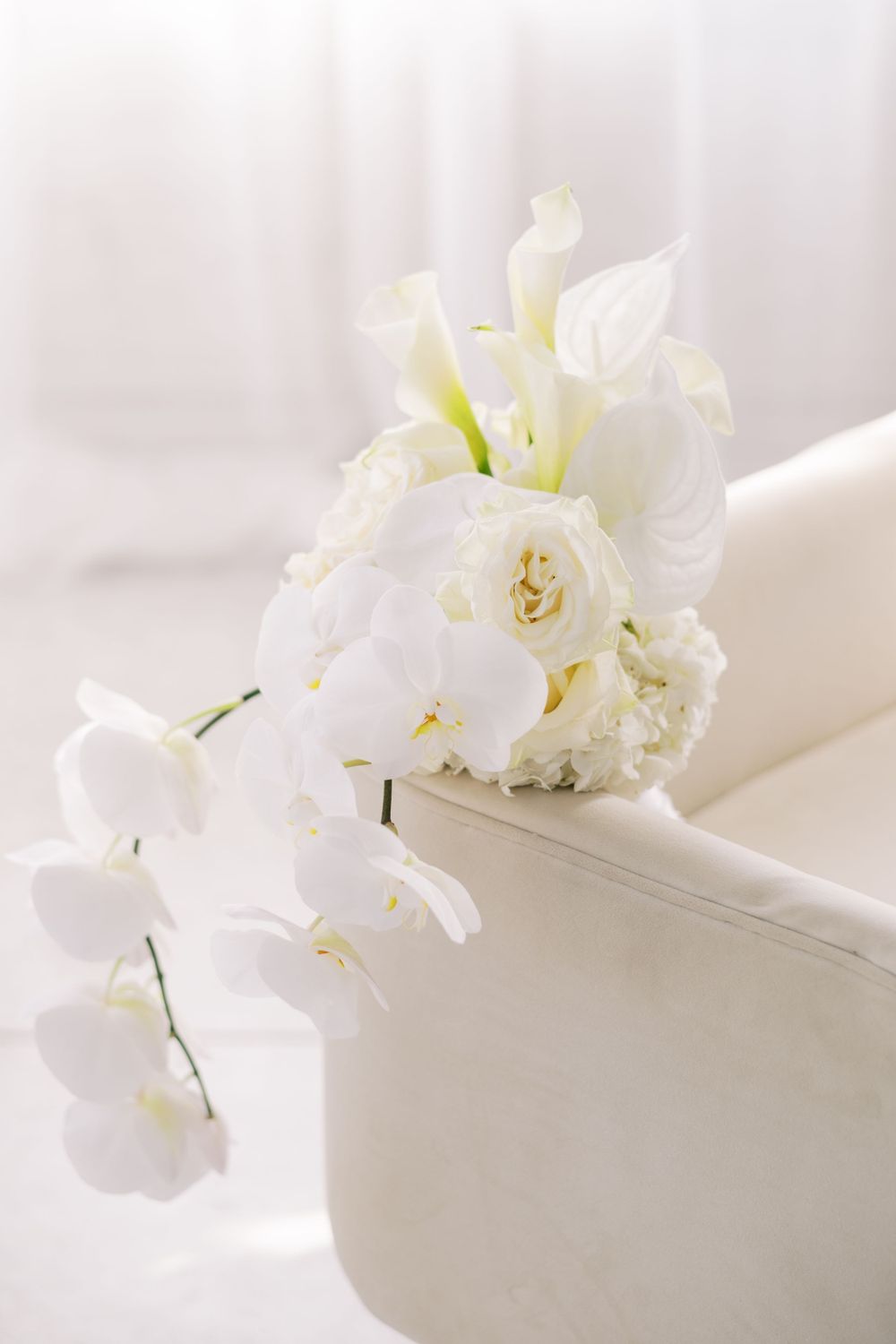 Elegant white orchids arranged beautifully against a soft light background.