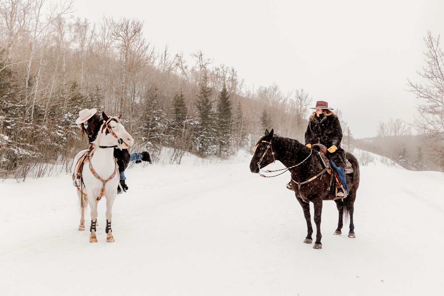 {VEGREVILLE ALBERTA} {SMOOKBROWN PHOTOGRAPHY}  {VEGREVILLE PHOTOGRAPHER}