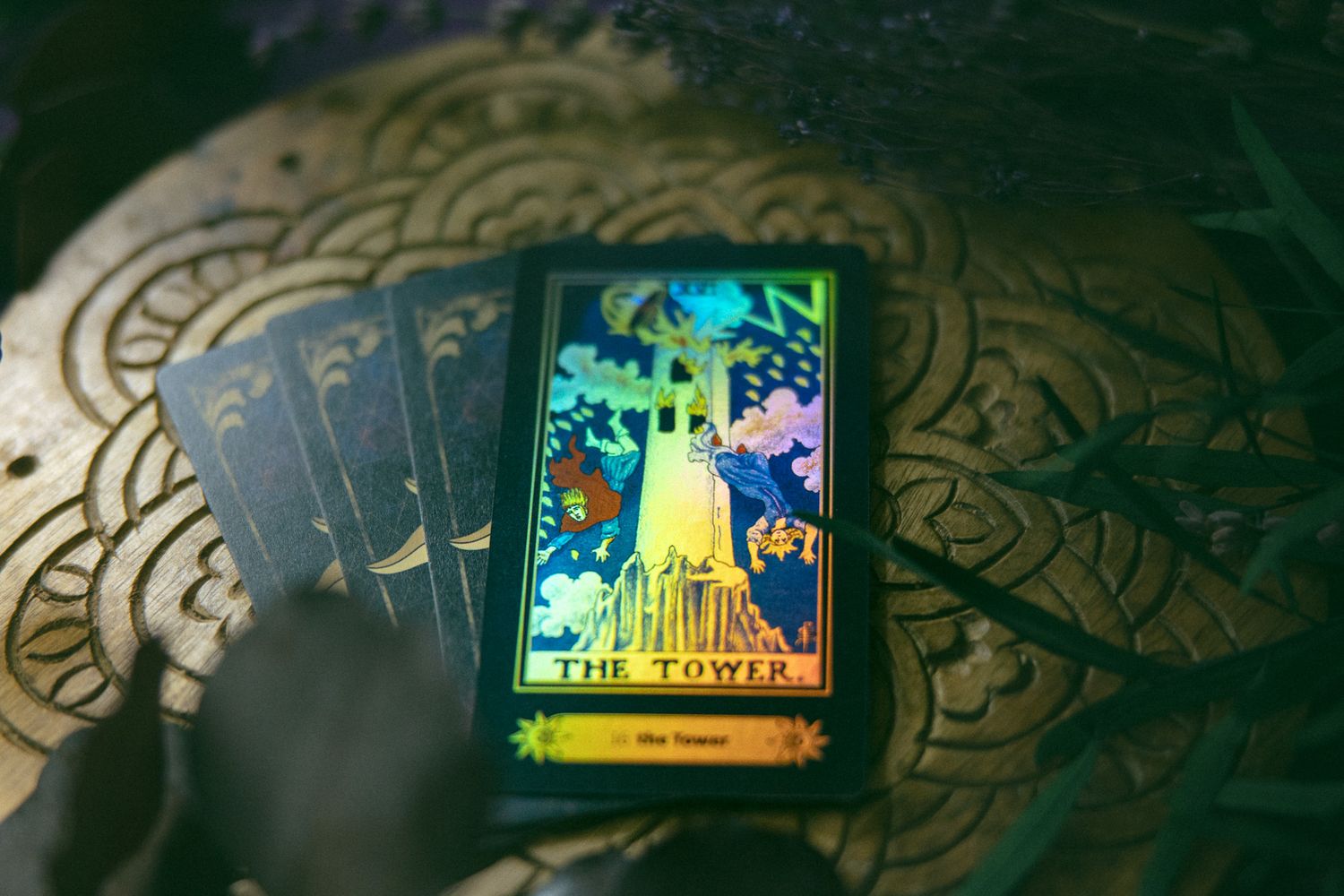 LGBTQ Asheville small business entrepreneur tarot cards display during a professional branding photography session