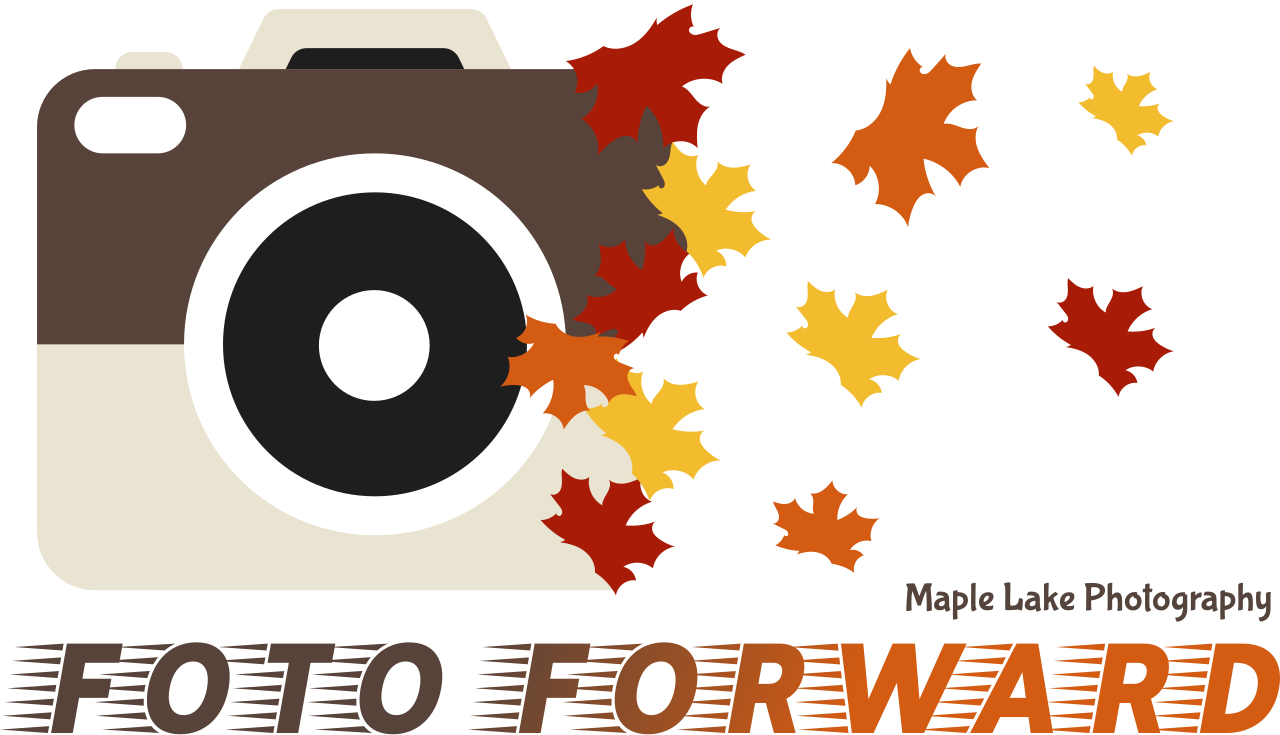 Camera logo design with autumn maple leaves flying from the lens and text reading Hold Forward below.