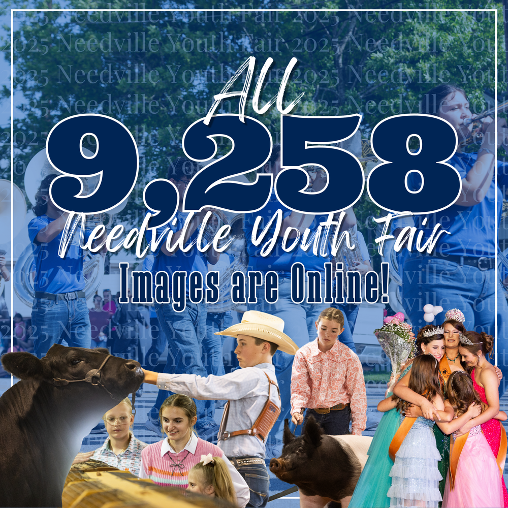 Livestock show participants gather outdoors for a competition event with animals and spectators.