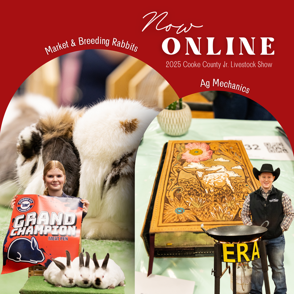 Collage of high school livestock show and animal competition photos with purple and gold branding elements.