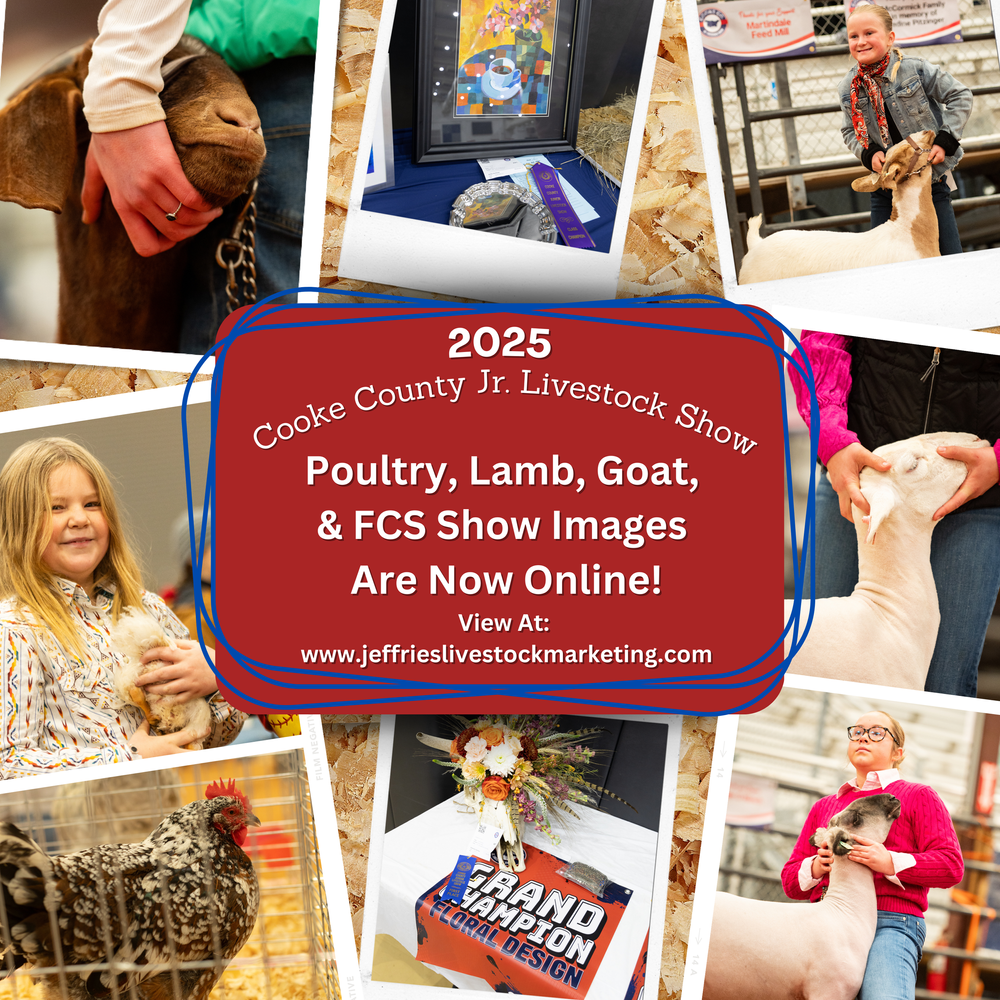 Promotional collage for 2025 Cooke County Jr Livestock Show featuring various event photos.
