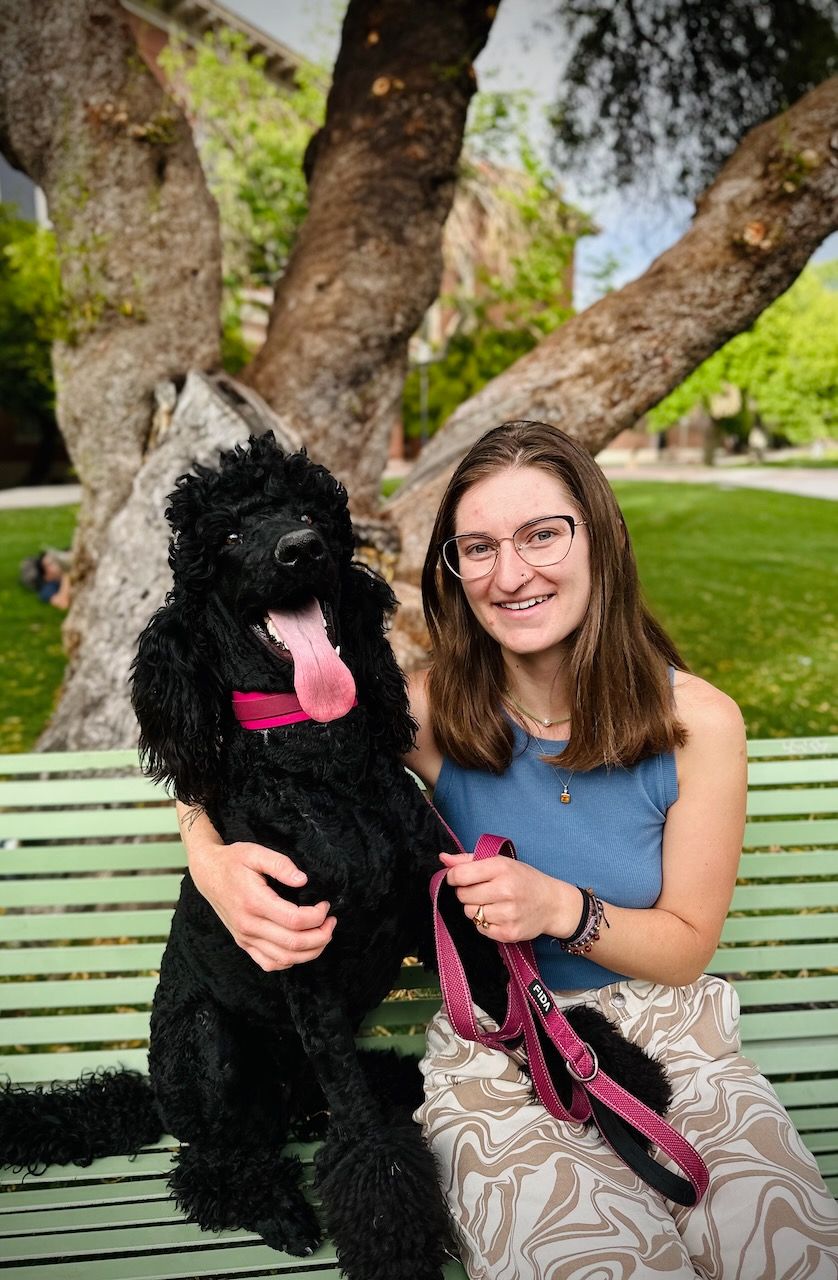 A happy black goldendoodle dog sitting with its owner on a park bench.