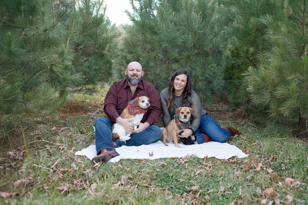 Couple and two dogs sit on a blanket at a tree farm for a picture