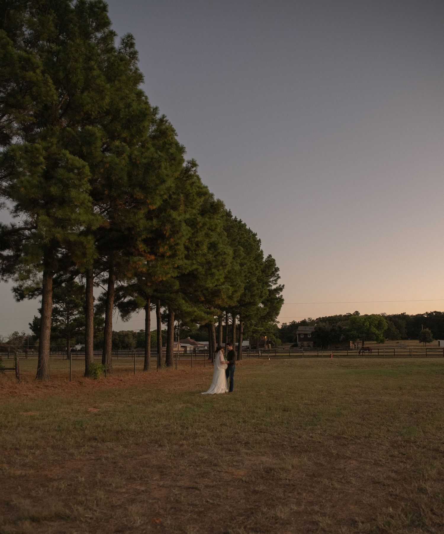 Bride and groom standing together near a row of tall pine trees in an open field at dusk.