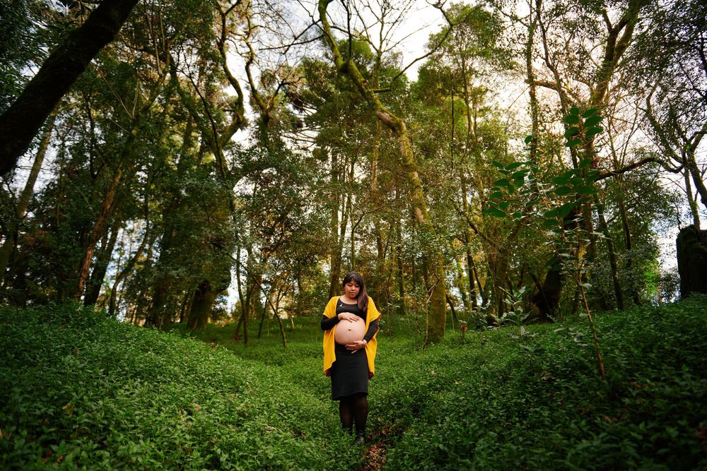Pregnant woman in yellow cardigan standing in a dense green forest landscape.