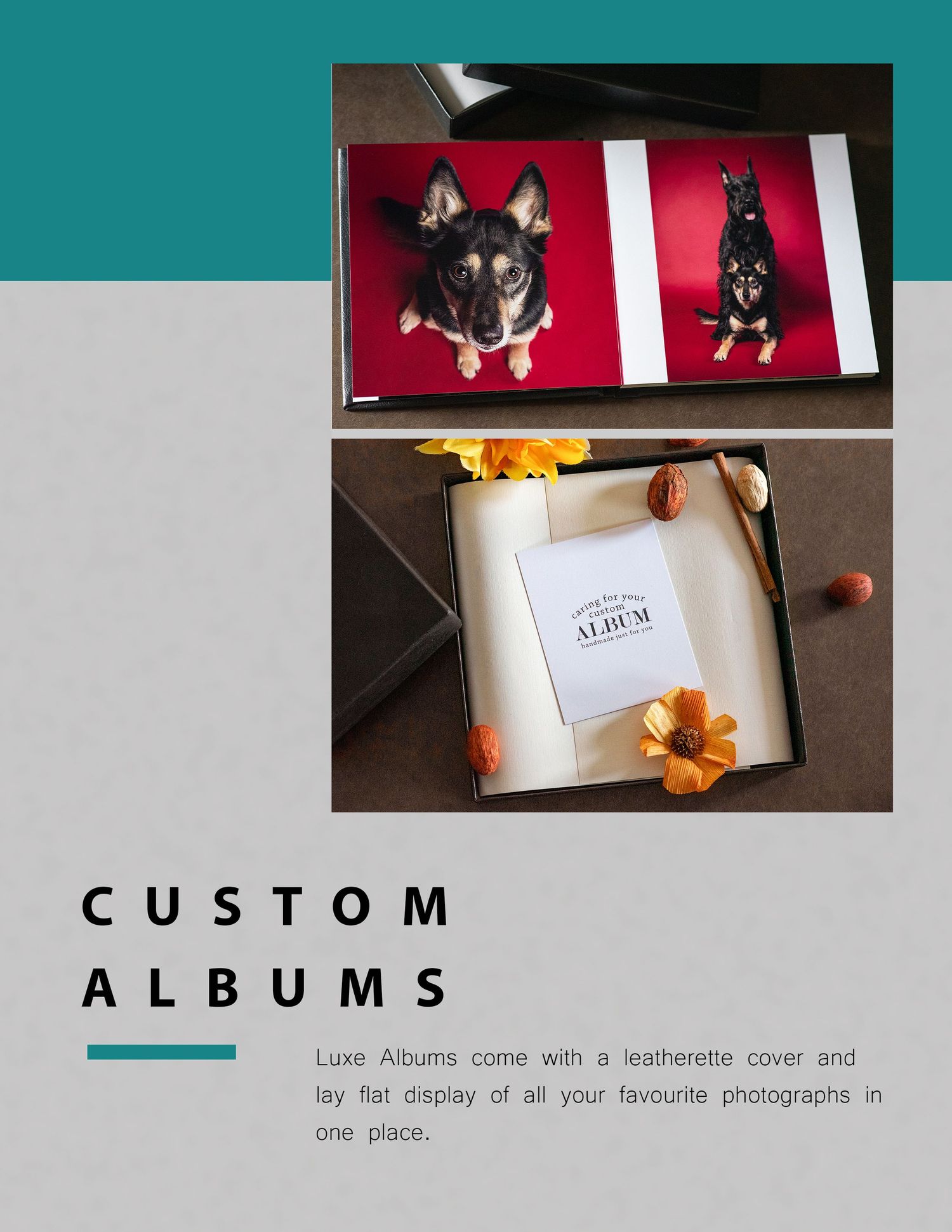Photographer Red Deer, Alberta. Pet Photographer. Dog Photographer. Pet Portrait.  Professional Photographer. Fine Art Album.