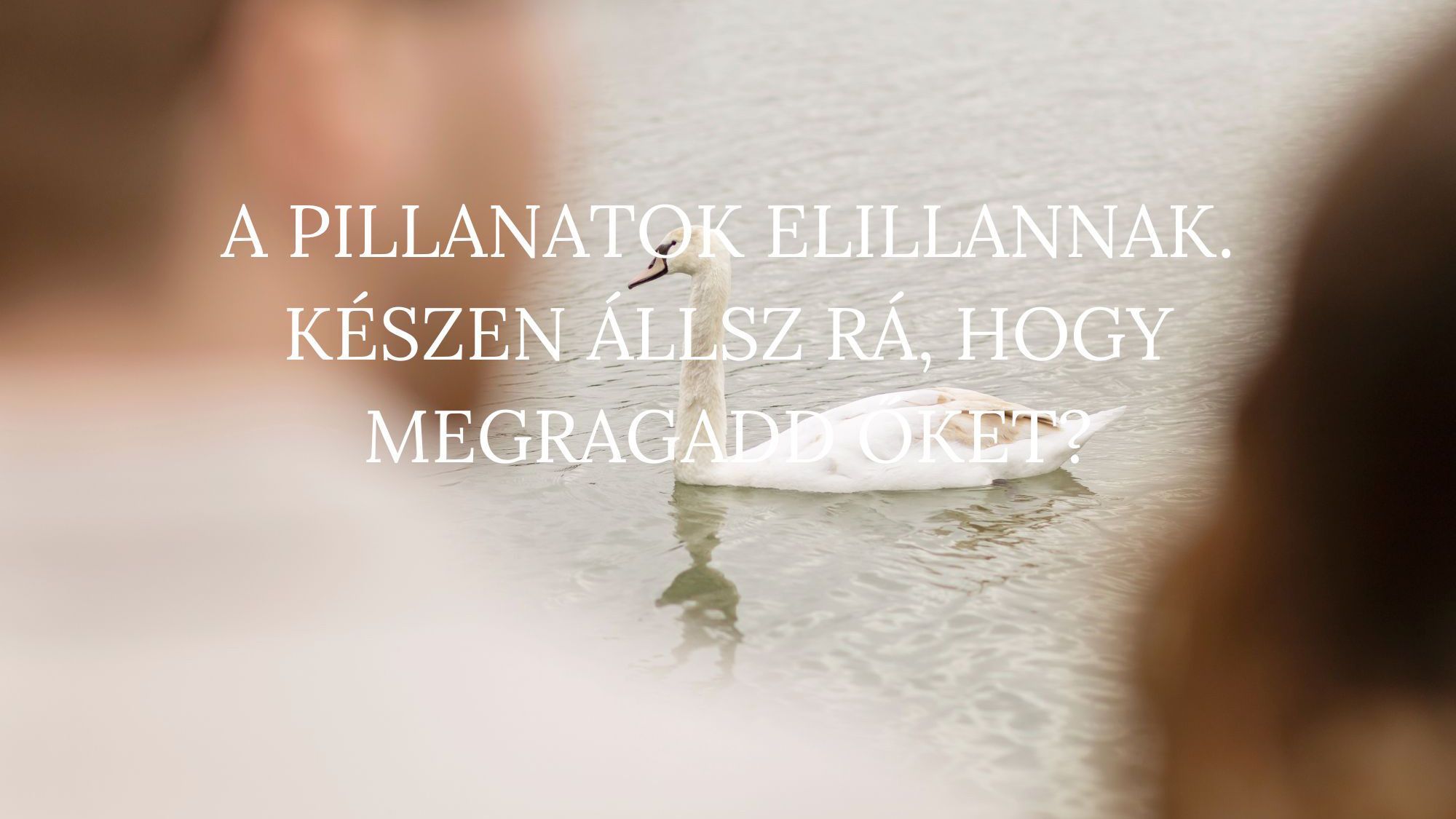 szerelmes, páros fotózás, külső helyszín
