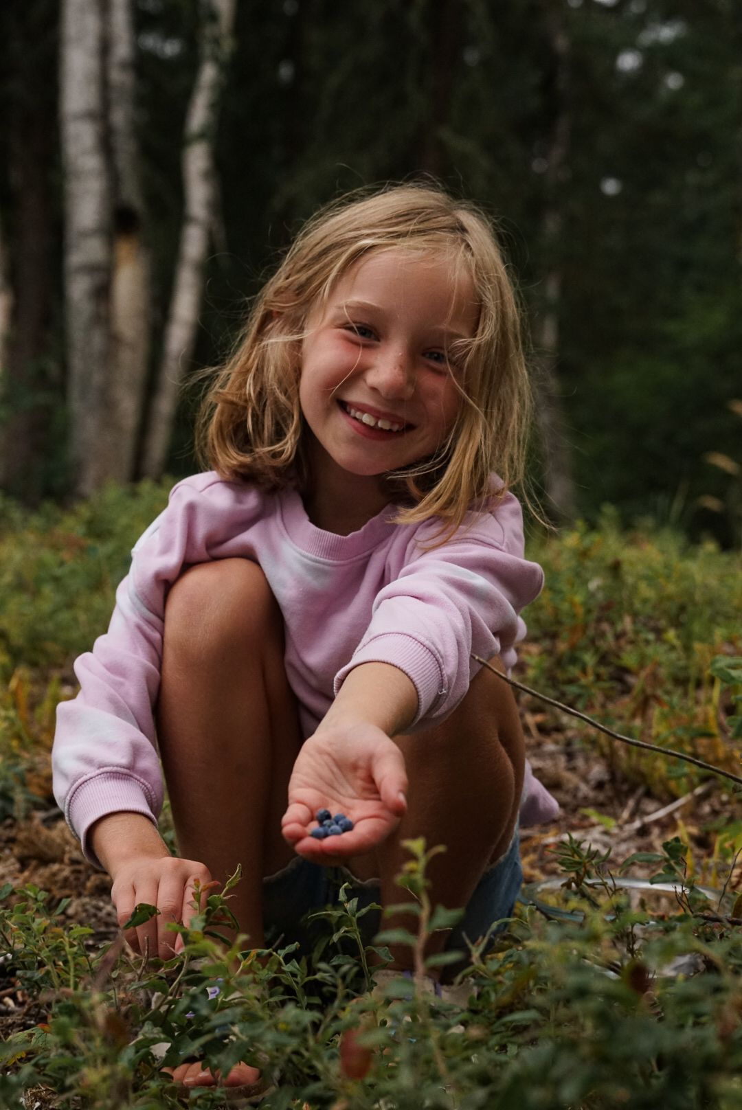 A pink-clad figure explores plants and berries in a birch forest.